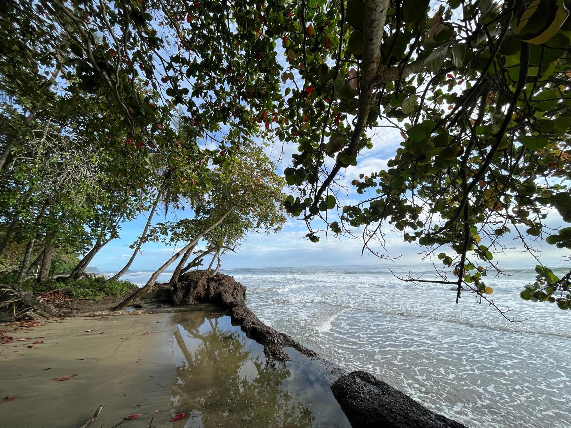 Namu Garden Hotel & Spa (Adults Only) Puerto Viejo de Talamanca Екстериор снимка